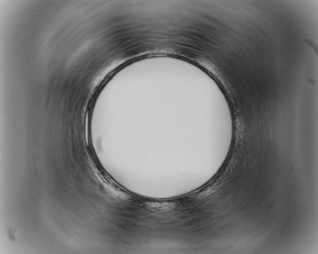 X0000102261127200808221409