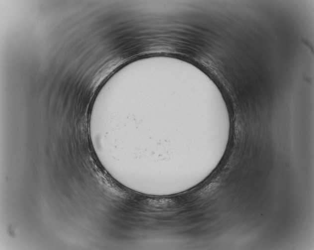X0000102261129200808221409