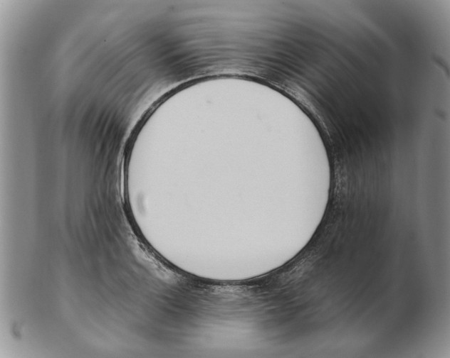 X0000102261132200808221409