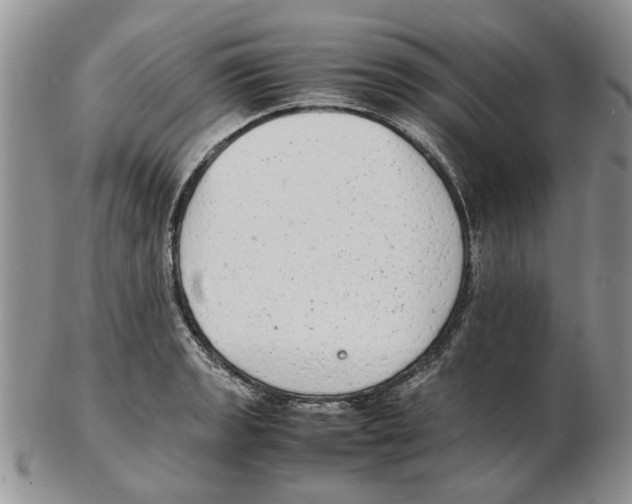 X0000102261133200808221409