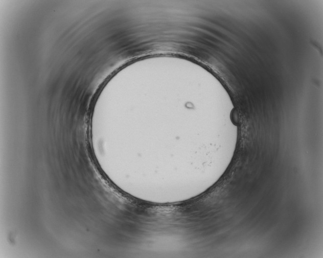 X0000102261134200808221409
