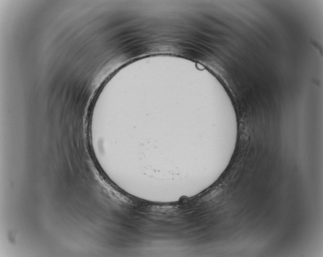 X0000102261135200808221409