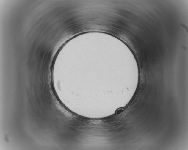 X0000102261136200808221409