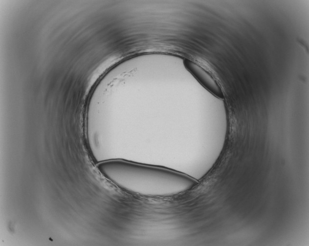 X0000102261138200808221409