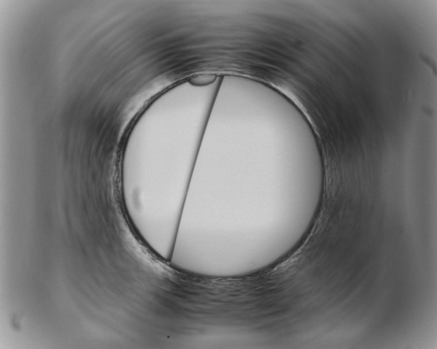 X0000102261139200808221409