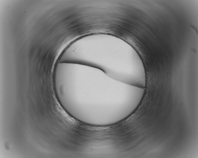 X0000102261140200808221409