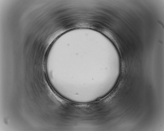 X0000102261141200808221409
