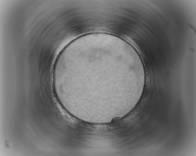 X0000102261144200808221409