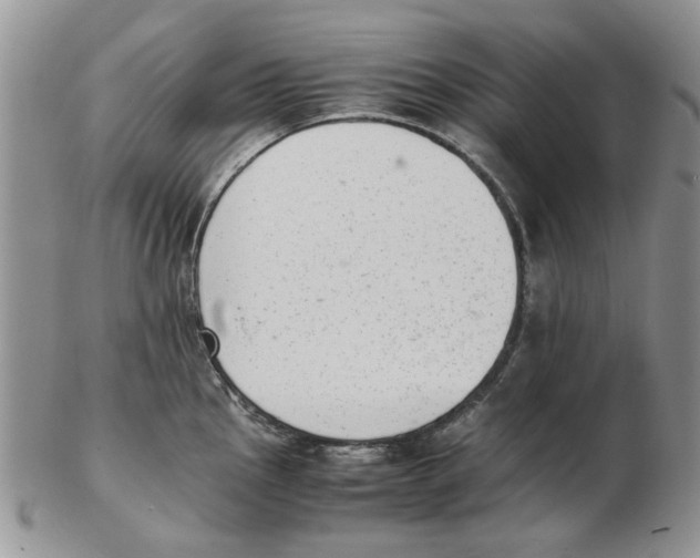 X0000102261145200808221409