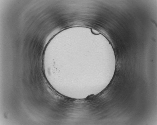 X0000102261146200808221409