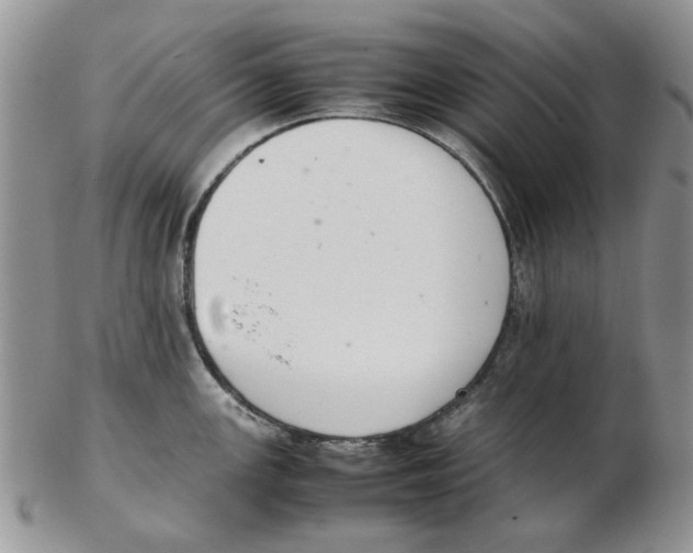 X0000102261147200808221409