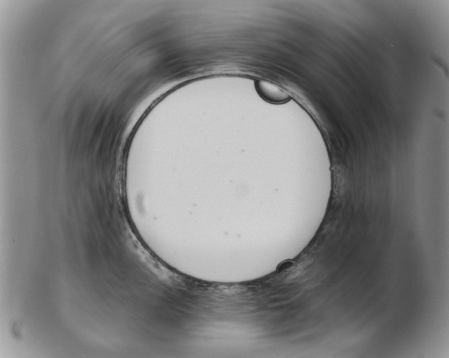 X0000102261148200808221409