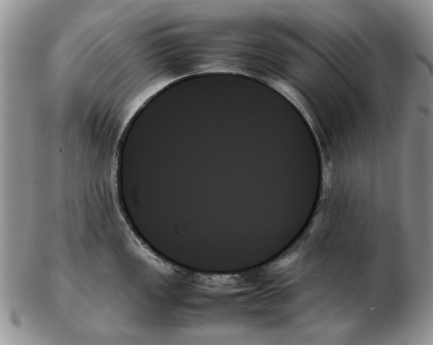 X0000102261149200808221409