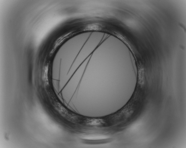 X0000102261150200808221409