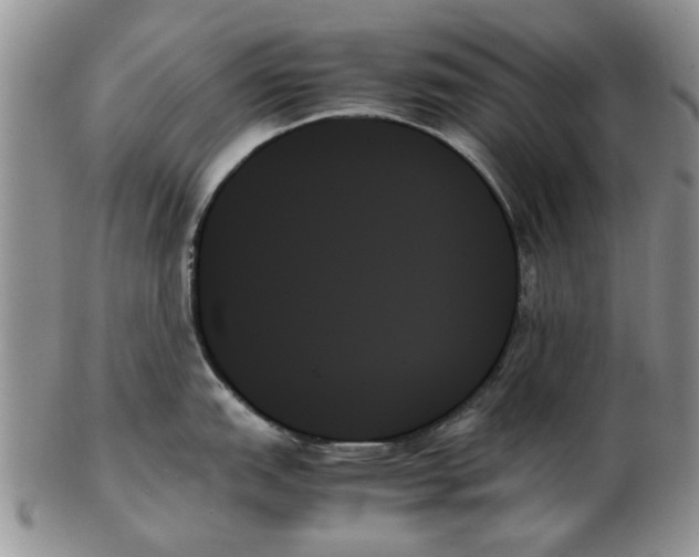 X0000102261151200808221409