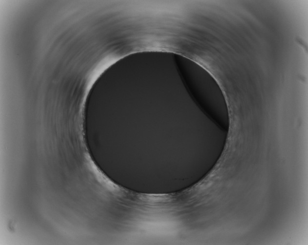 X0000102261152200808221409