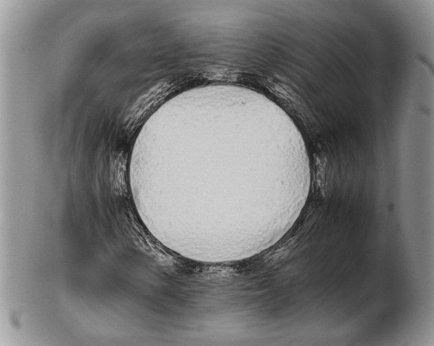 X0000102261154200808221409