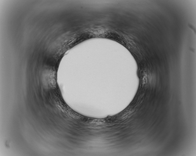 X0000102261156200808221409