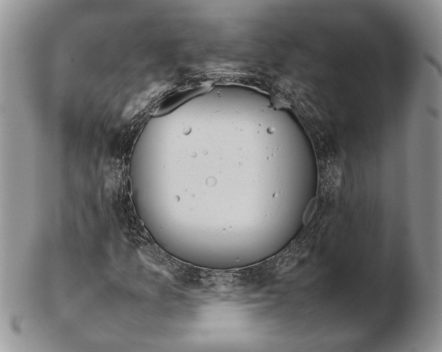 X0000102261157200808221409