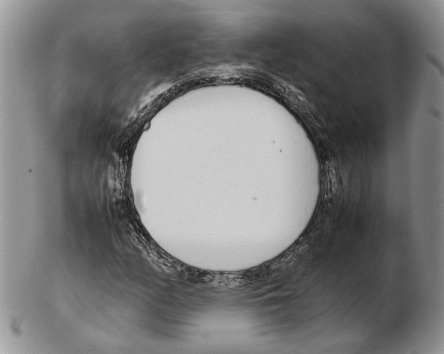 X0000102261158200808221409
