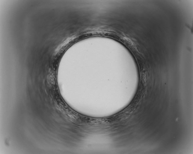 X0000102261159200808221409