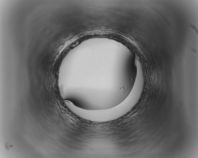 X0000102261160200808221409