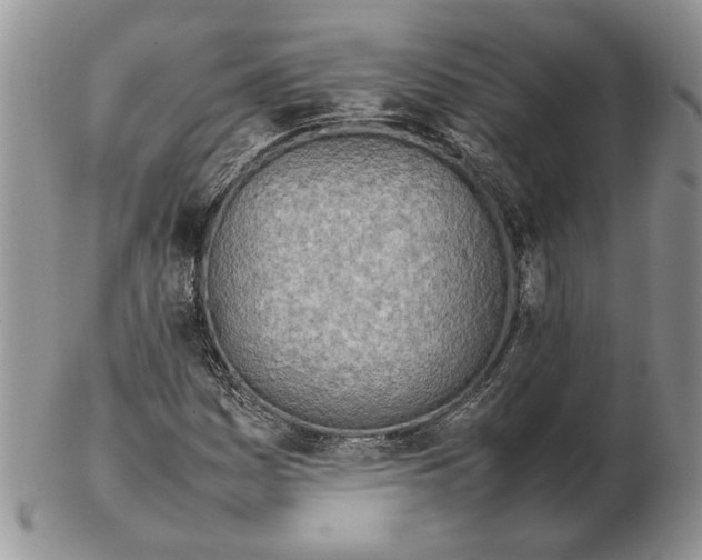 X0000102261161200808221409