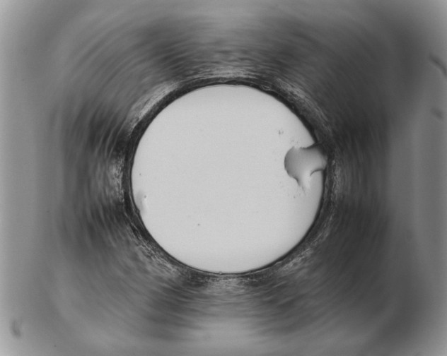 X0000102261162200808221409