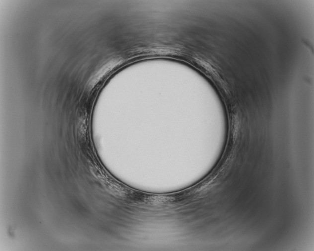 X0000102261163200808221409