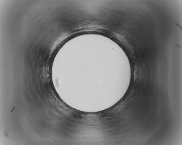 X0000102261164200808221409