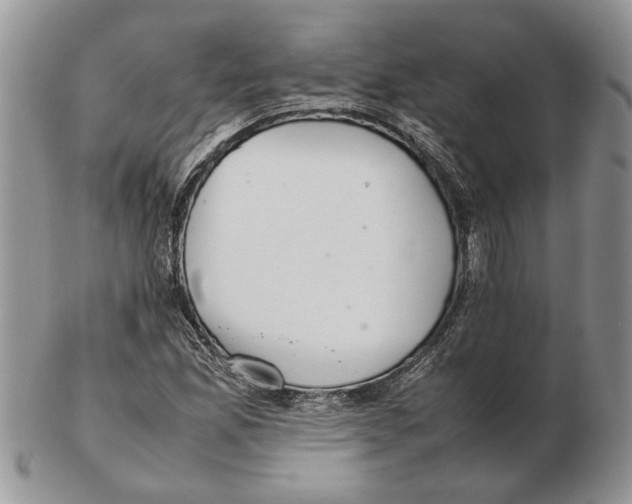 X0000102261165200808221409