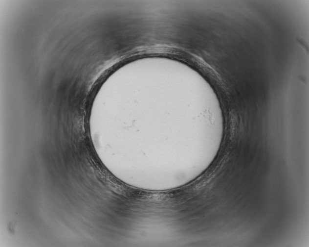 X0000102261166200808221408