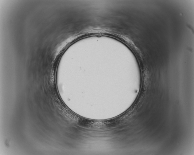 X0000102261167200808221408