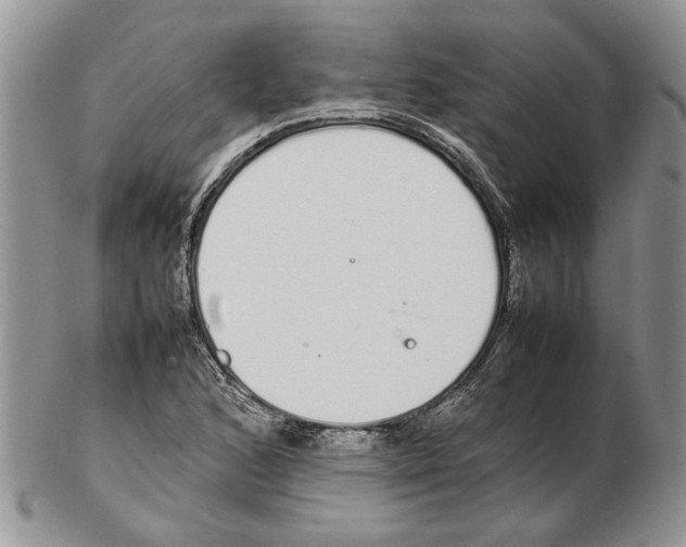 X0000102261168200808221408