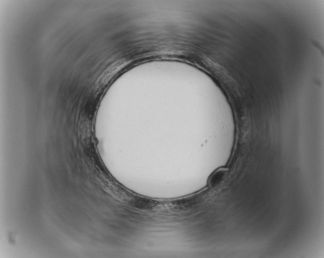 X0000102261169200808221408