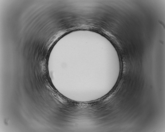 X0000102261170200808221408