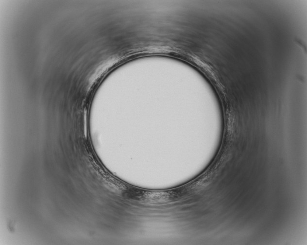 X0000102261171200808221408