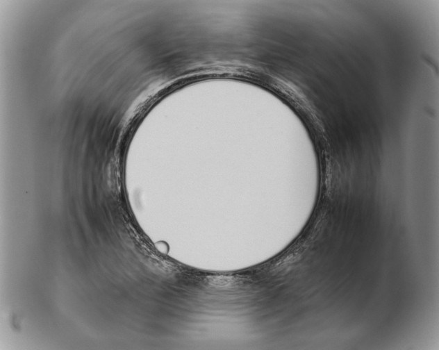 X0000102261172200808221408