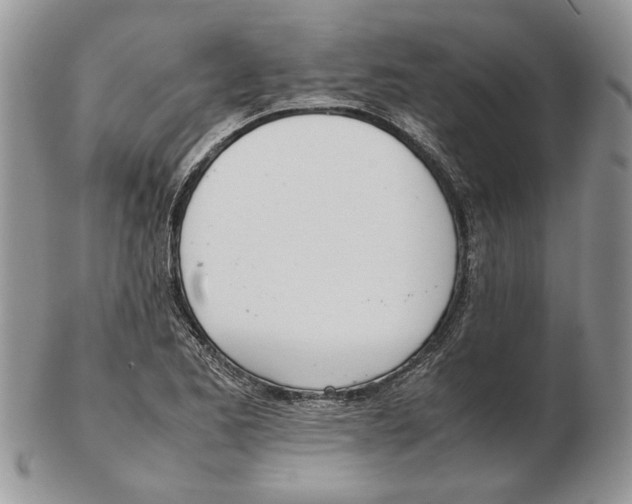 X0000102261173200808221408