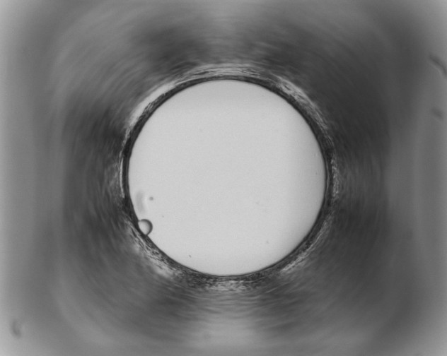 X0000102261174200808221408
