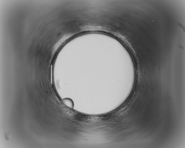X0000102261175200808221408