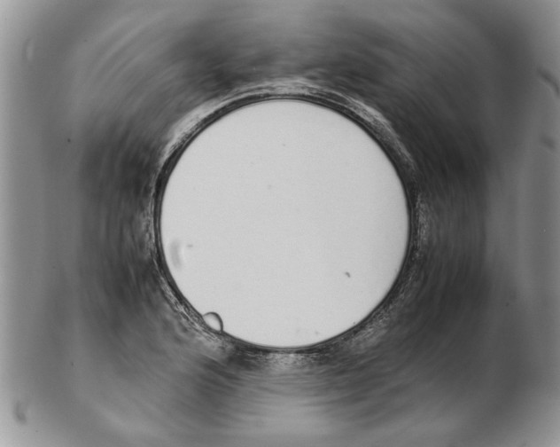 X0000102261176200808221408