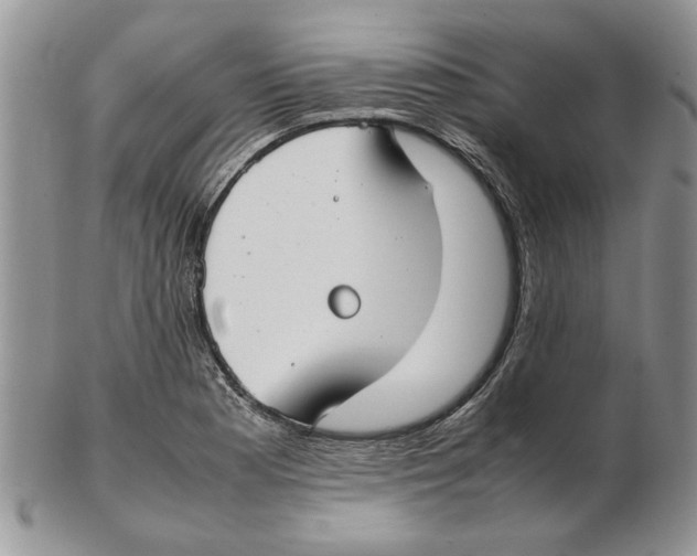 X0000102261177200808221408