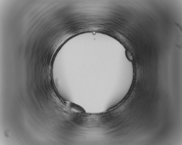 X0000102261178200808221408