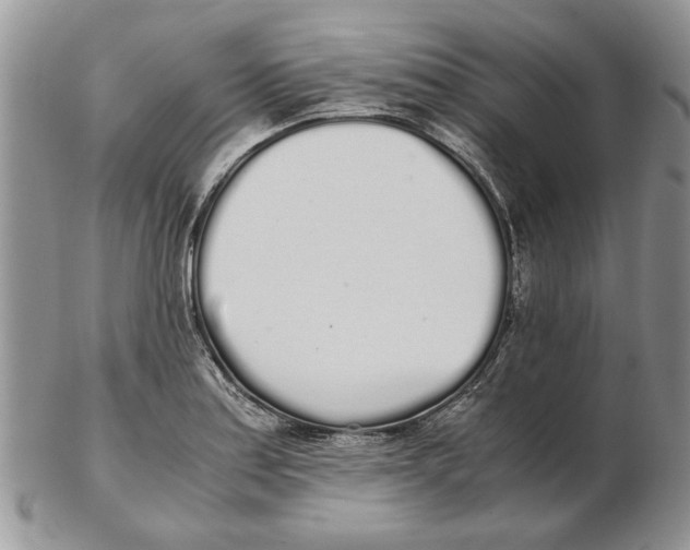 X0000102261179200808221408
