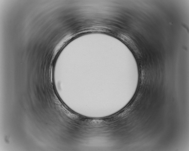 X0000102261180200808221408