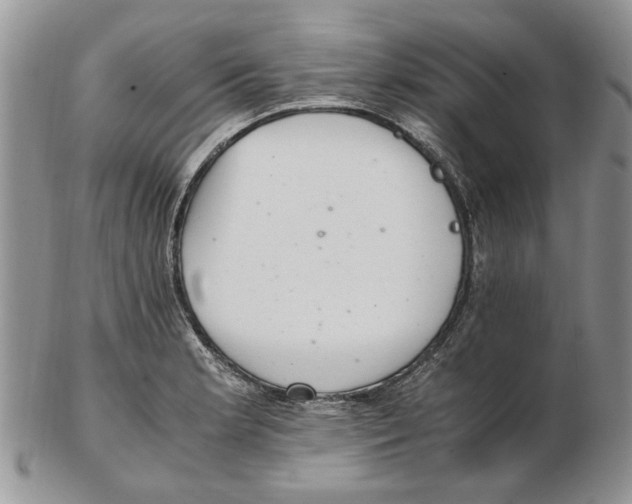 X0000102261181200808221408
