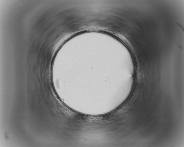 X0000102261183200808221408