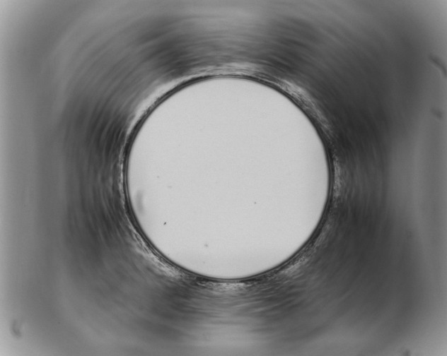 X0000102261184200808221408