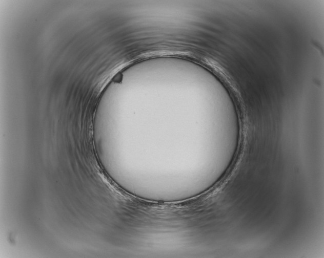 X0000102261185200808221408